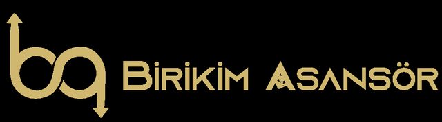 Birikim Asansör