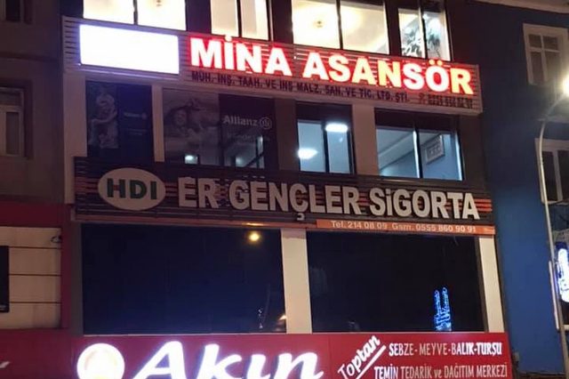 Mina Asansör
